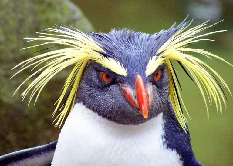 Ce que Google ne vous a pas dit sur Penguin version 4.0...