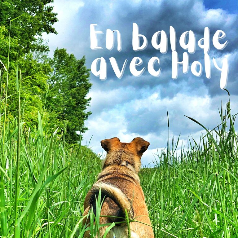En balade avec Holy : Le podcast de David Gos sur la rédaction web