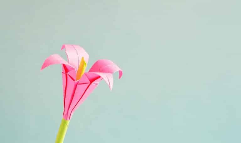 L’algorithme Colibri de Google, révolution du langage naturel
