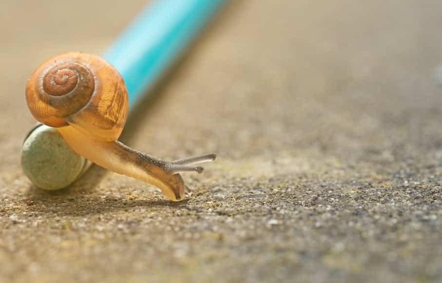 Appliquez COPE, la méthode marketing ultime