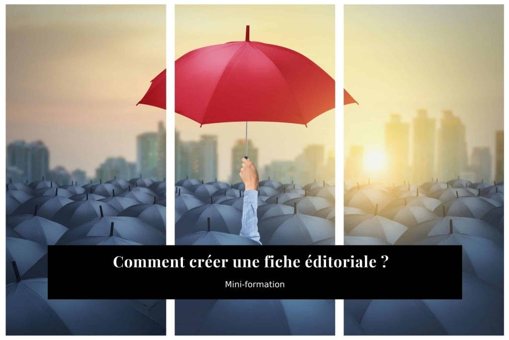 Nouveaux cours du Cercle : la fameuse fiche éditoriale !