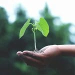 Entrepreneuriat : Formez-vous pour développer votre activité